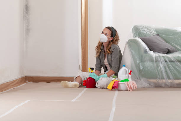 Reliable Mold Remediation contractor in Erie, IL by WQB Mold Removal